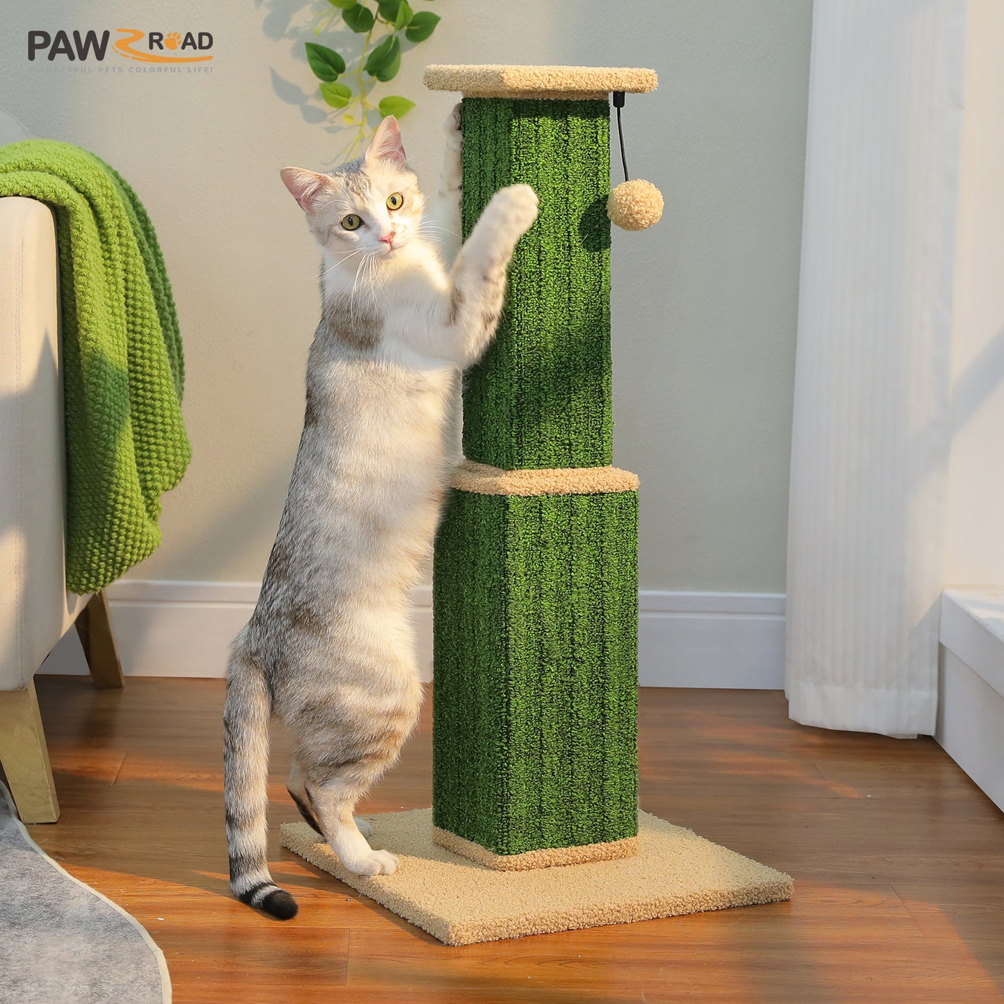 PAWZ Road 80cm Cat Tree Scratching Post Tower Sturdy Board Gym Furniture Fun Toys Green
