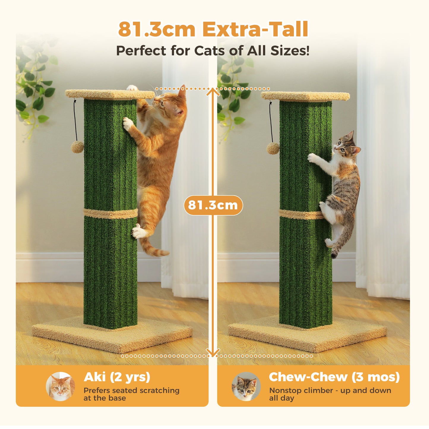 PAWZ Road 82cm Cat Tree Scratching Post Tower Sturdy Board Gym Furniture Fun Toys Green