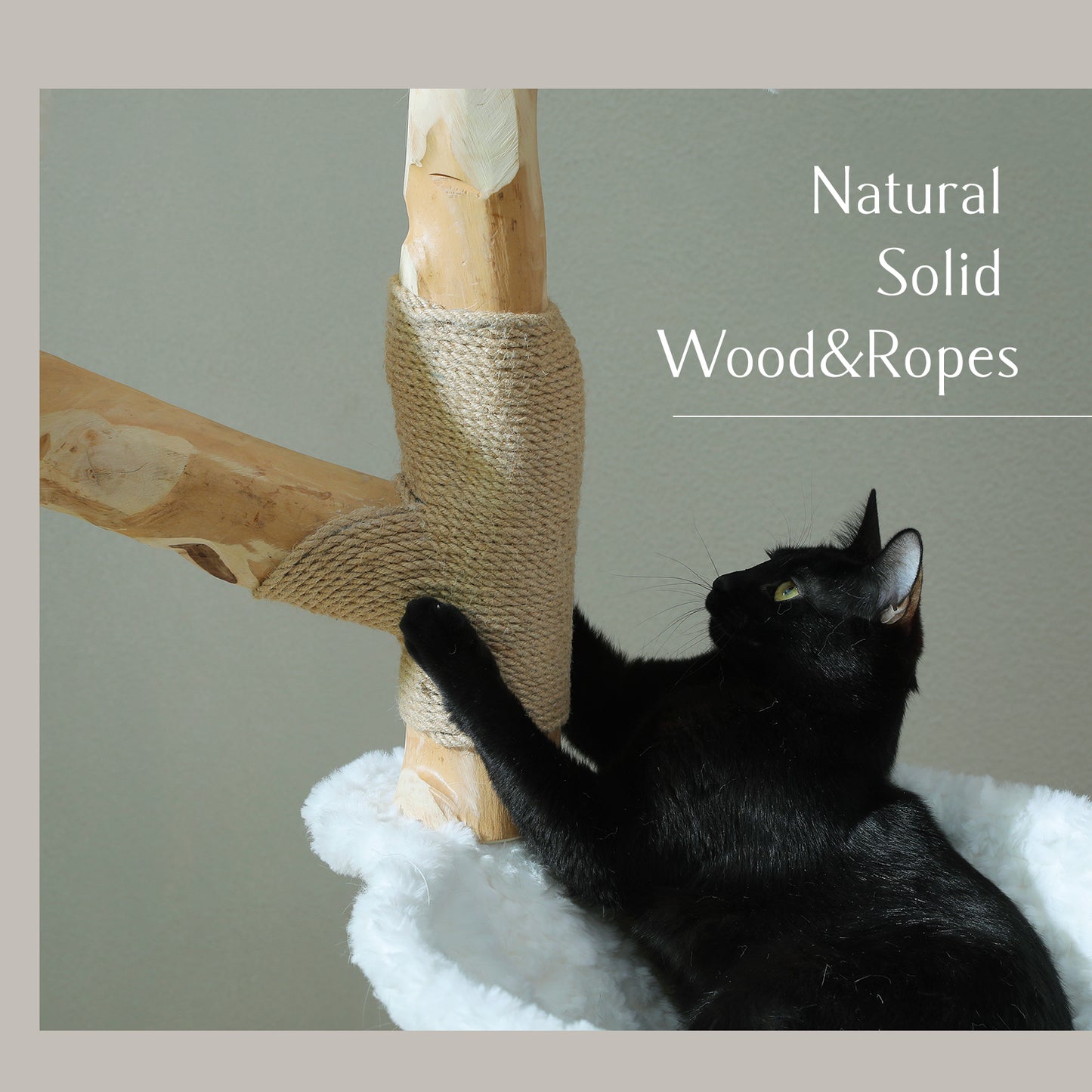 PAWZ Road Cat Tree Scratching Post Scratcher Wooden Condo Tower House for Large Cats
