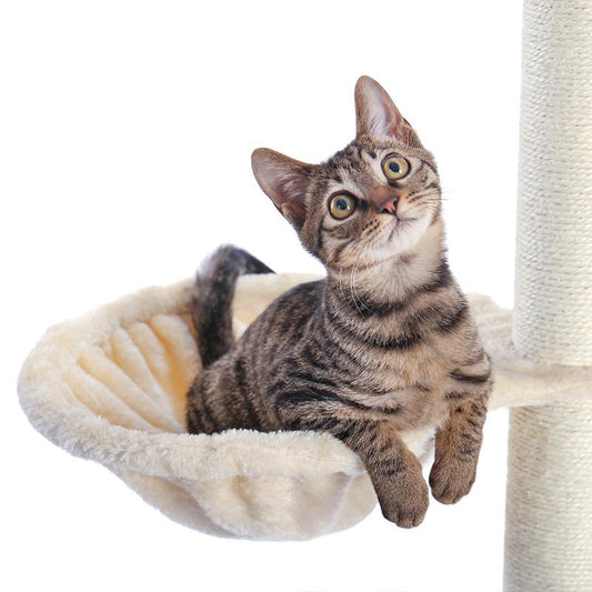 PAWZ Road Replacement-ZY0001