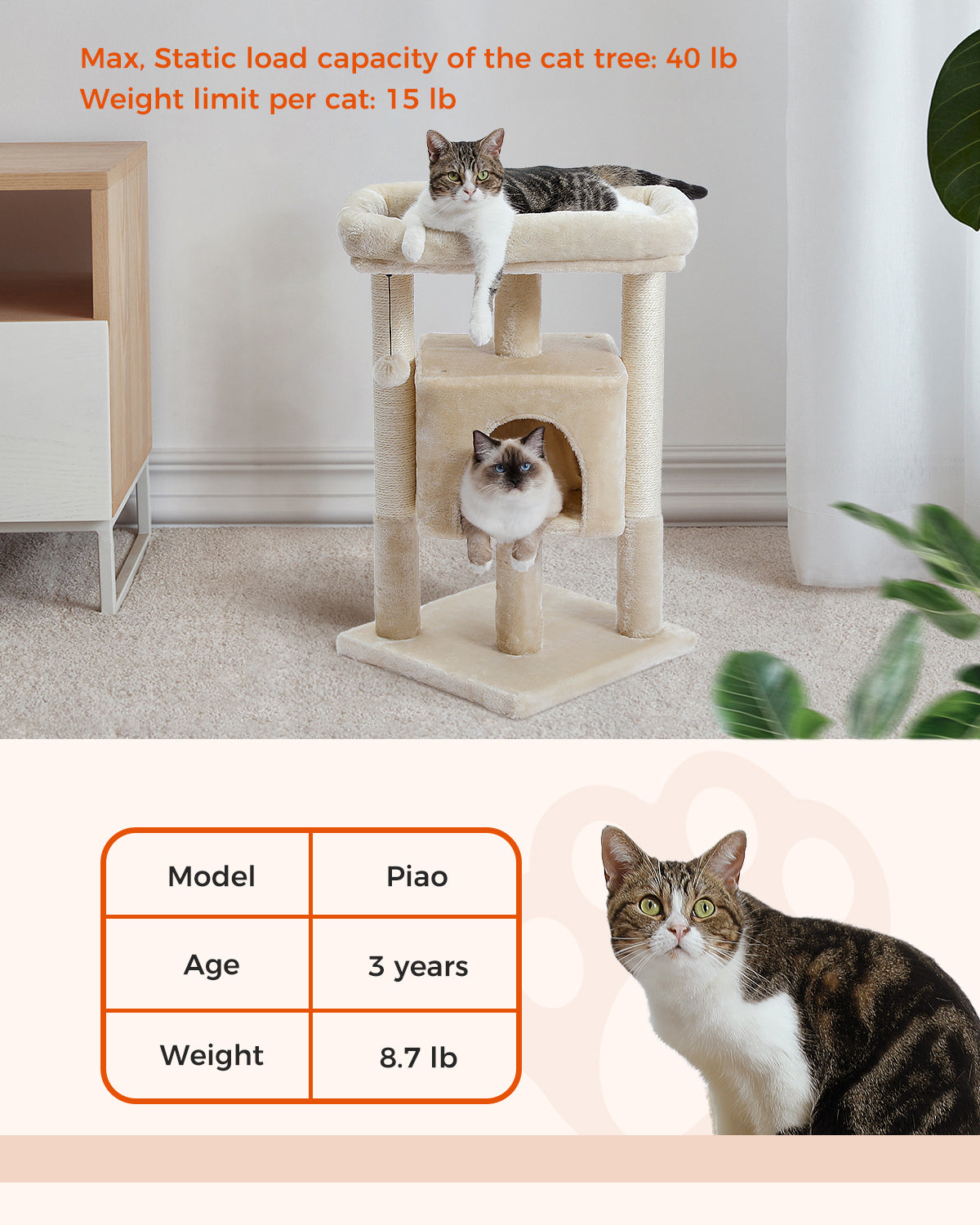 PAWZ 路猫树猫抓柱猫抓板塔公寓房屋家具床 72 厘米米色