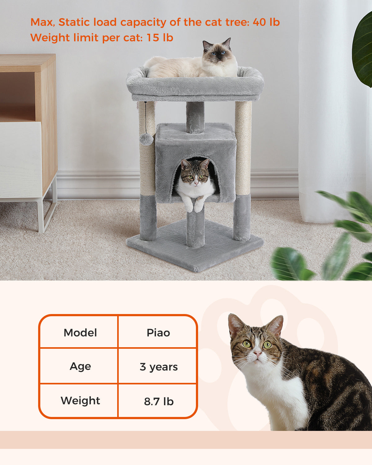 PAWZ 路猫树猫抓柱猫抓板塔公寓房屋家具床 72 厘米灰色