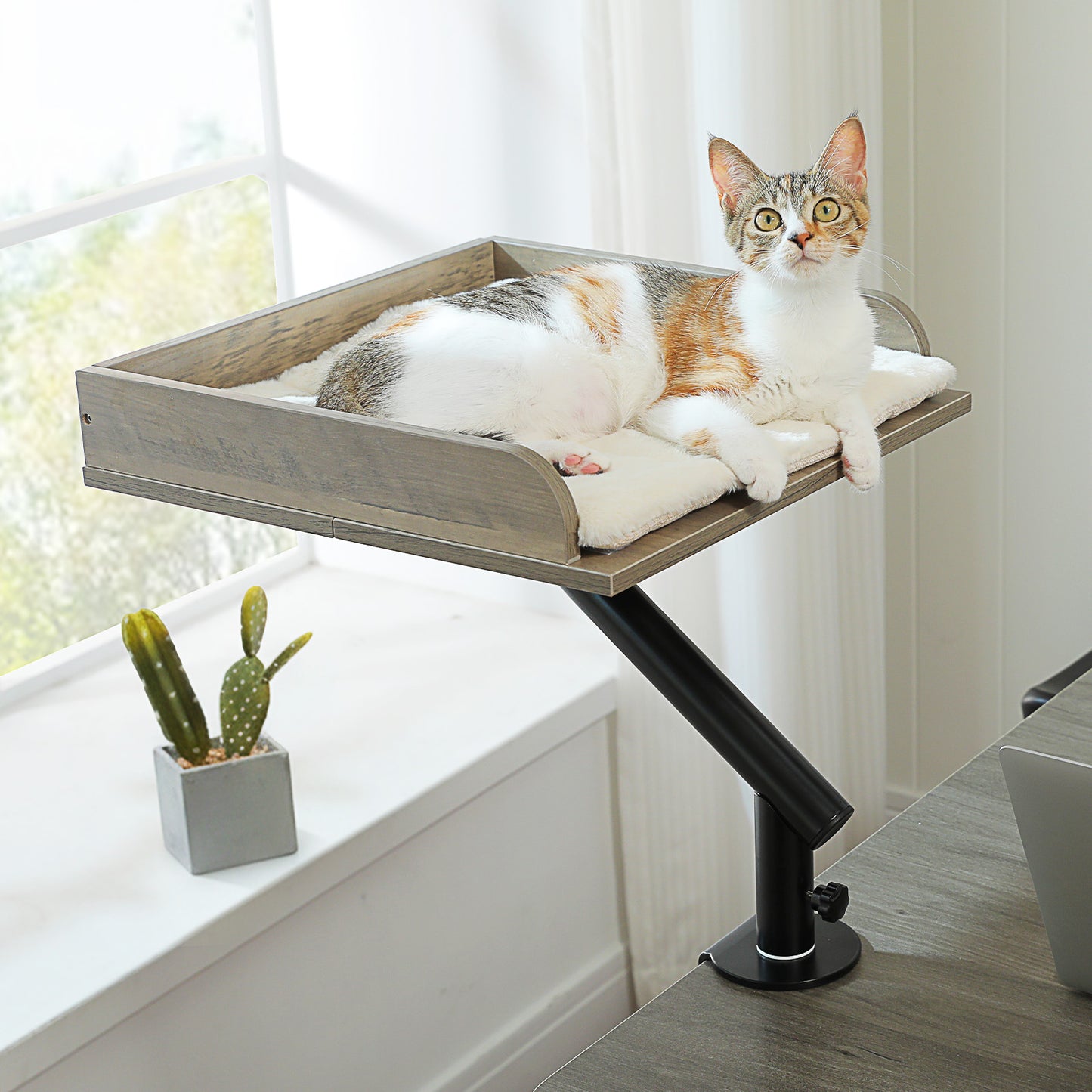 PAWZ Road Cat Desk Bed 360°Rotating Supports to  22 kg Cozy Nest for Desk | Wooden Desk Mount Cat Bed with Sturdy Clamp – Fits Desks & Tables, Padded Soft Nest for Cats, Holds Up to 22 kg
