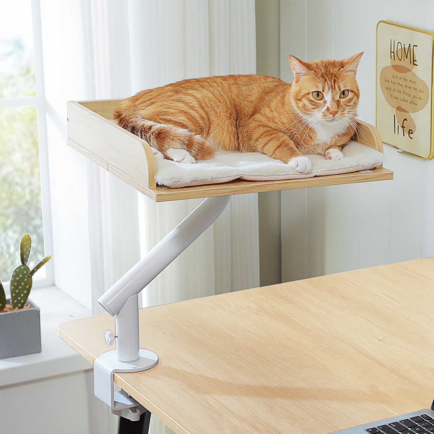 PAWZ Road Cat Desk Bed 360°Rotating Supports to  22 kg Cozy Nest for Desk | Wooden Desk Mount Cat Bed with Sturdy Clamp – Fits Desks & Tables, Padded Soft Nest for Cats, Holds Up to 22 kg