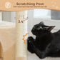 PAWZ Road Plush Cat Tree, 83cm Cat Tower with Cozy Hammock, Pet Furniture Natural Sisal Scratching Posts, Spacious Plush Perch, Large Cat Condo, Dingdang Balls for Indoor Cats, Beige