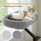 PAWZ Road Cat Desk Bed for Indoor Cats Big Hammock 360° Adjustable Support 20KG Grey