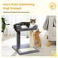 PAWZ Road Cat Scratching Post Bed, Featuring with Soft Perch Sisal-Covered Scratch Posts and Pads with Play Ball Great for Kittens and Cats