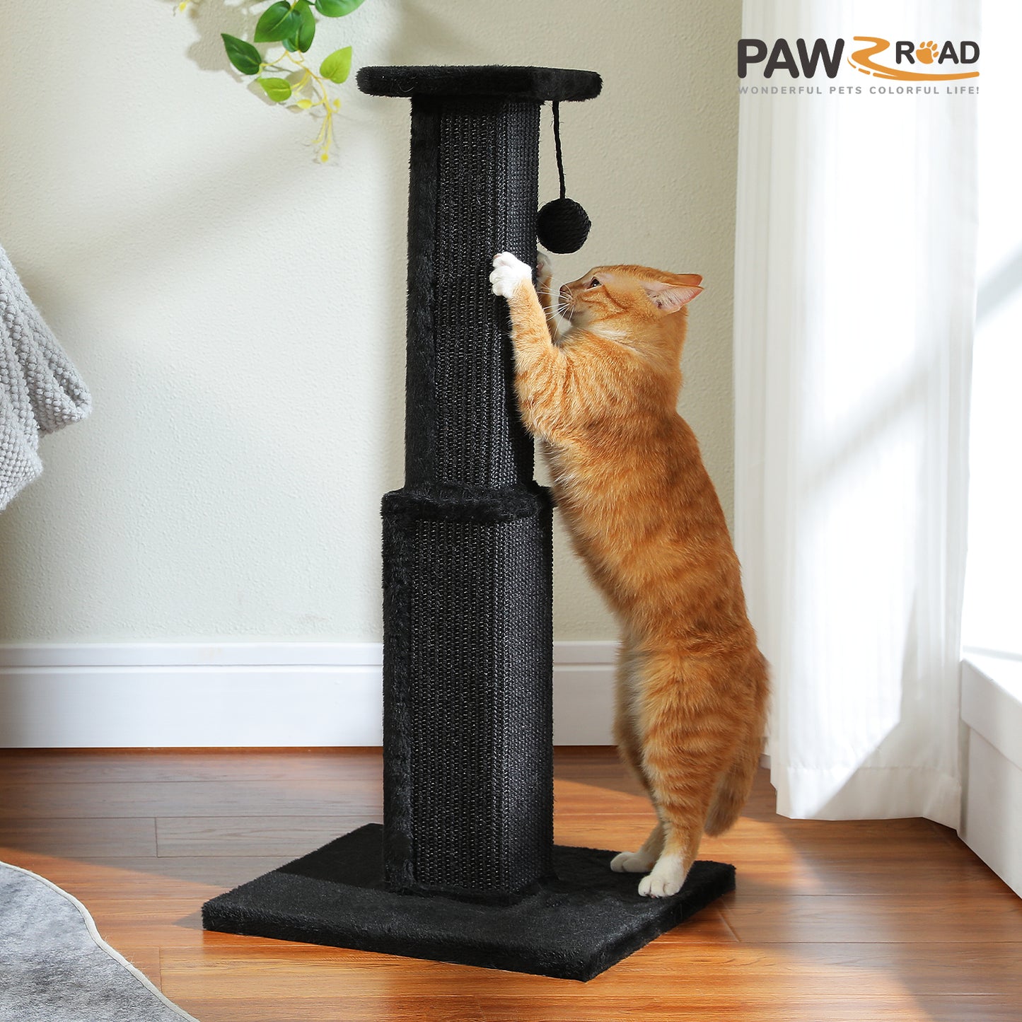 PAWZ Road 80cm Cat Tree Scratching Post Tower Sturdy Board Gym Furniture Fun Toys Black