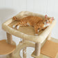 PAWZ Road Cat Tree Tower Scratching Post Condo House Cat Furniture Toy Bed 180cm
