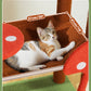 PAWZ Road 143cm Cat Tree Tower Scratching Post Scratcher Cat Condo House Bed Furniture Brown