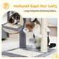 PAWZ Road Cat Scratching Post Bed, Featuring with Soft Perch Sisal-Covered Scratch Posts and Pads with Play Ball Great for Kittens and Cats