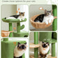 PAWZ Road Cat Tree Tower Condo House Cat Scratching Post Furniture with Hammock Green