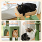 PAWZ Road 113厘米猫爬架猫抓柱猫窝家具猫抓板猫公寓米色