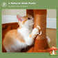 PAWZ Road 116cm Cat Tree Tower Scratching Post Scratcher Cat Condo House Bed Furniture Brown