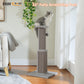 PAWZ Road 80cm Cat Tree Scratching Post Tower Sturdy Board Gym Furniture Fun Toys Grey