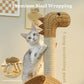 PAWZ Road Modern Cat Tree 46” Cat Dinosaur Tower with Scratching Post, Large Rattan Cats House in 18” Diameter, Wicker Cats Bed with Removable Mat