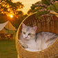PAWZ Road Modern Cat Tree 46” Cat Dinosaur Tower with Scratching Post, Large Rattan Cats House in 18” Diameter, Wicker Cats Bed with Removable Mat