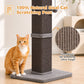 PAWZ Road 82cm Cat Tree Scratching Post Tower Sturdy Board Gym Furniture Fun Toys Dark Grey