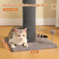 PAWZ Road Carpet Wrapped 102cm Tall Cat Scratching Post, Cat Scratching Tower with Hanging Toy for Indoor Cats, Large Scratcher Post for All Age Kittens with Reinforced Stable Base, Dark Grey