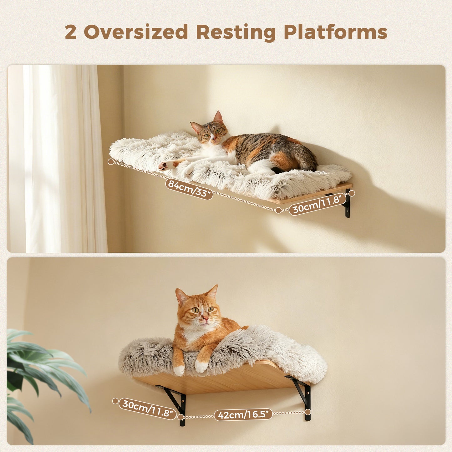 PAWZ Road Cat Wall Shelves, Wooden Cat Wall Mounted with Scratching Posts, 5-in-1 Modern Climbing Set with Scratcher Pads & 4 Steps Climbing Rops for Indoor Cats, Beige