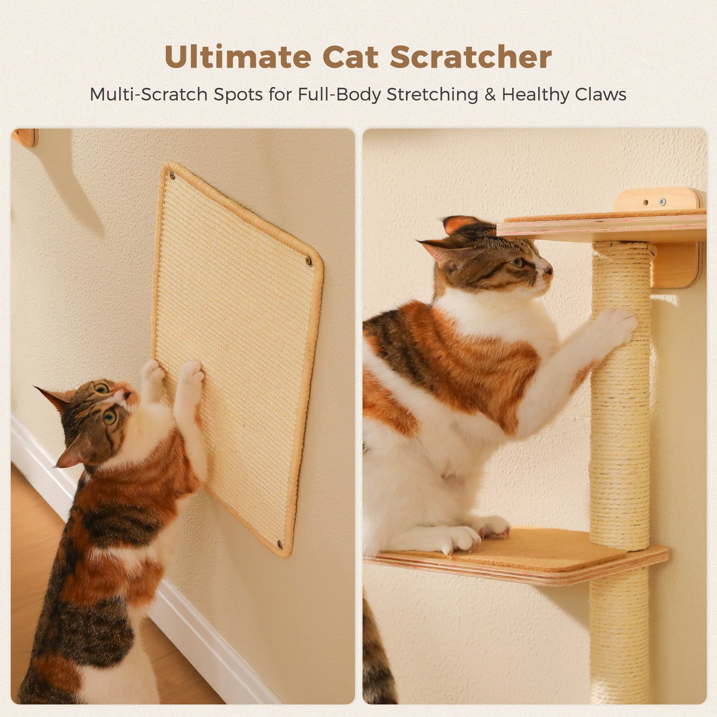 PAWZ Road Cat Wall Shelves, Wooden Cat Wall Mounted with Scratching Posts, 5-in-1 Modern Climbing Set with Scratcher Pads & 4 Steps Climbing Rops for Indoor Cats, Beige