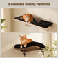 PAWZ Road Cat Wall Shelves, Wooden Cat Wall Mounted with Scratching Posts, 5-in-1 Modern Climbing Set with Scratcher Pads & 4 Steps Climbing Rops for Indoor Cats, Black