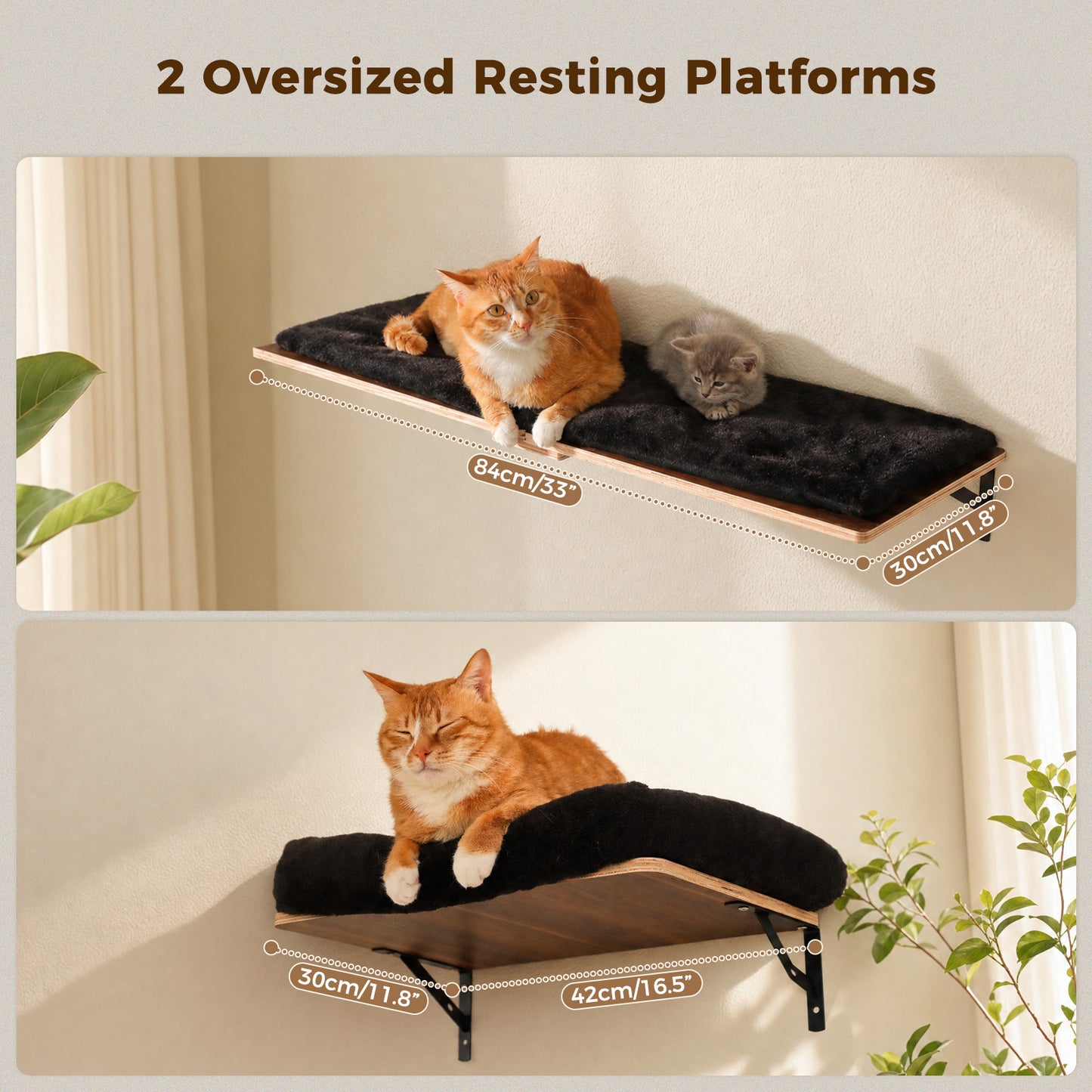 PAWZ Road Cat Wall Shelves, Wooden Cat Wall Mounted with Scratching Posts, 5-in-1 Modern Climbing Set with Scratcher Pads & 4 Steps Climbing Rops for Indoor Cats, Black