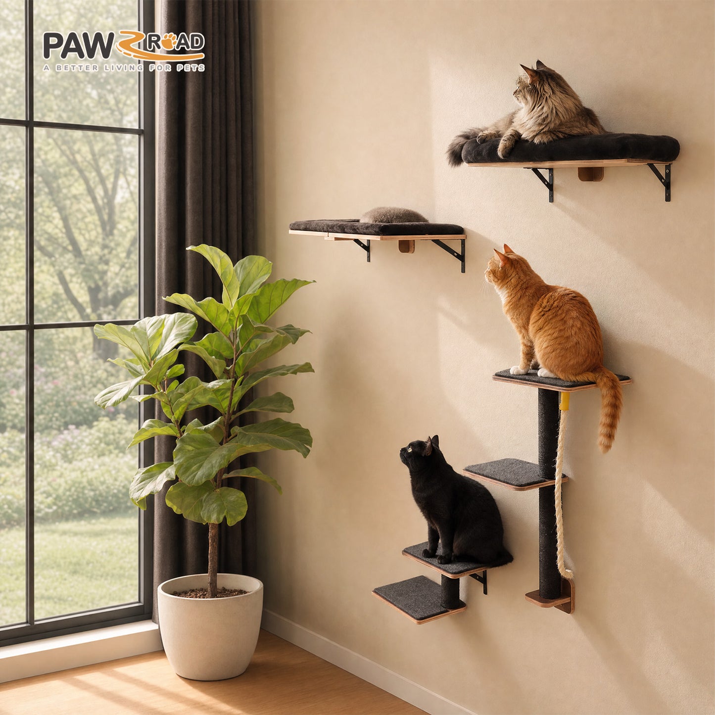 PAWZ Road Cat Wall Shelves, Wooden Cat Wall Mounted with Scratching Posts, 5-in-1 Modern Climbing Set with Scratcher Pads & 4 Steps Climbing Rops for Indoor Cats, Black