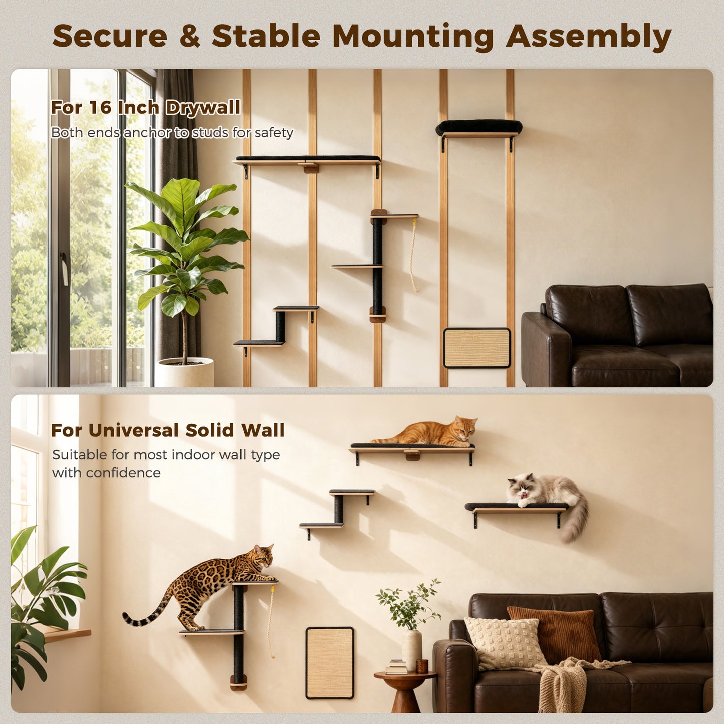 PAWZ Road Cat Wall Shelves, Wooden Cat Wall Mounted with Scratching Posts, 5-in-1 Modern Climbing Set with Scratcher Pads & 4 Steps Climbing Rops for Indoor Cats, Black