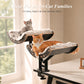 PAWZ Road Cat Desk Bed for Indoor Cats, 2 Wooden Cat Beds for Desk Supports Up to 50 lbs, 360° Rotation & Adjustable Soft Plush Hammock for Multi Kittens Household, Beige, Black