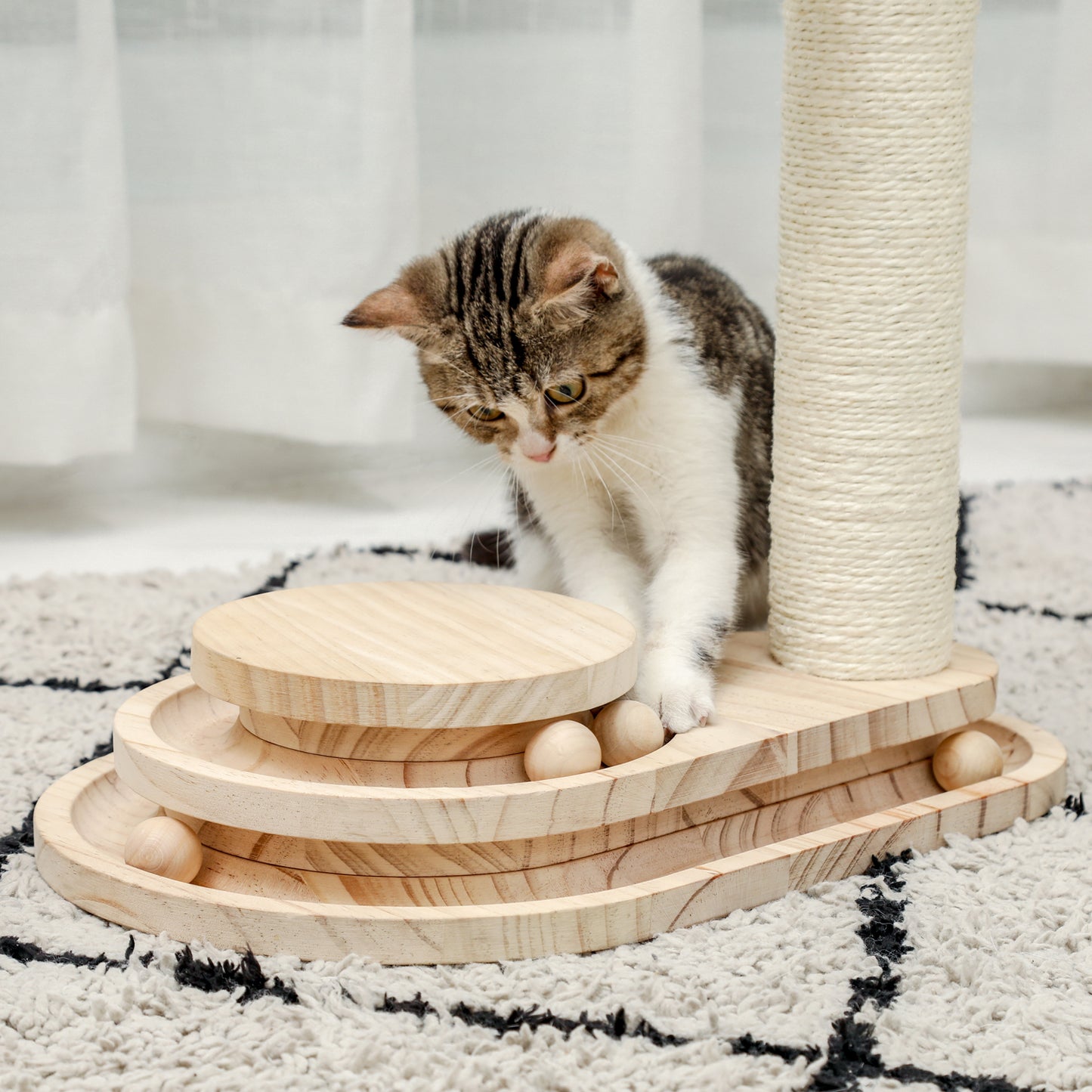 PAWZ Road Cat Interactive Self-Amusement Wooden Toys