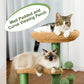 PAWZ Road Cactus Cat Tree Tower Scratching Post Condo House Scratcher Furniture