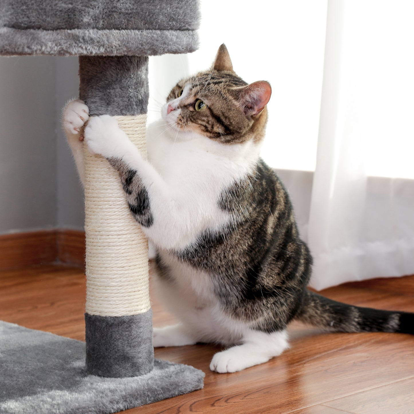 PAWZ Road Cat Tree Scratching Post Tower Condo House with Interactive Cat Stick