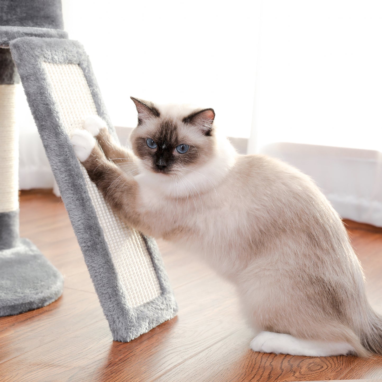 PAWZ Road Cat Tree Scratching Post Tower Condo House with Interactive Cat Stick